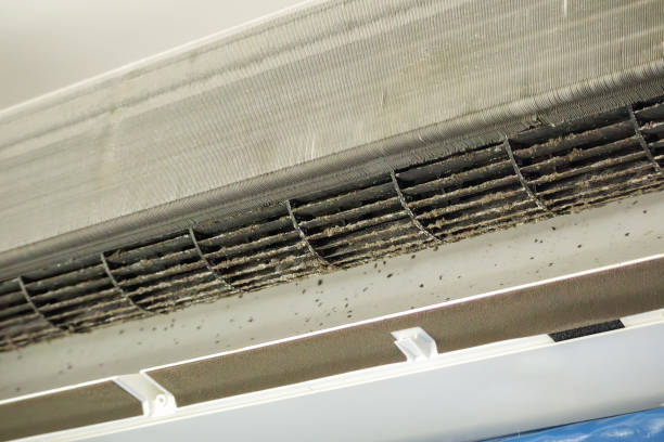 Best Local Air Duct Cleaning Services  in Franklin, MI